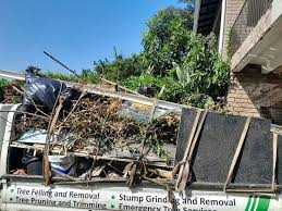 Best Attic Cleanout  in Willowbrook, CA